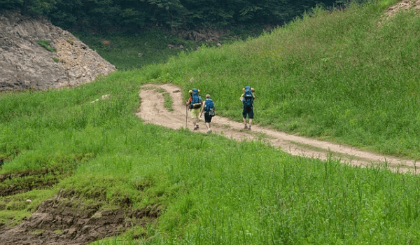 钓鱼钩选择指南：如何根据鱼种与季节挑选合