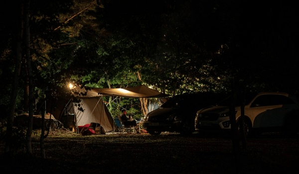 钓鱼新手必看：如何挑选高性价比鱼竿？硬杆