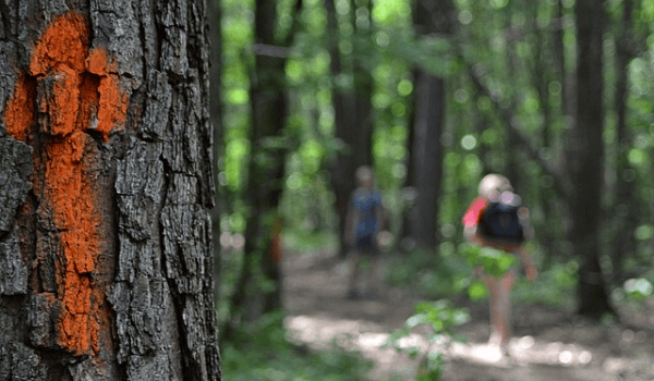 冬季钓鱼秘籍：如何让鱼饵拉丝状态持久如新