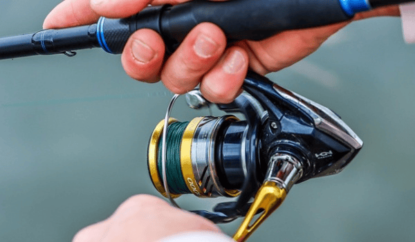 蚯蚓钓鱼秘籍：避开三大禁忌，让鱼获翻倍！