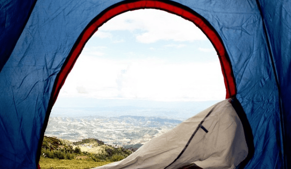 春季垂钓秘籍：一竿一线一盒蚯蚓，传统钓法