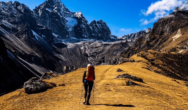 深秋钓草鱼秘籍：三种高效鱼饵助你爆护！