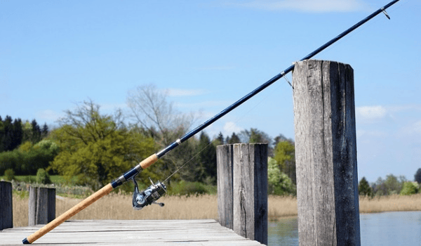 华老师讲解如何避开小鱼杂鱼闹窝钓鱼人 鱼