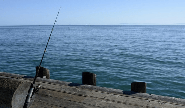 什么鱼漂最好用？如何挑选鱼漂？挑选鱼漂的