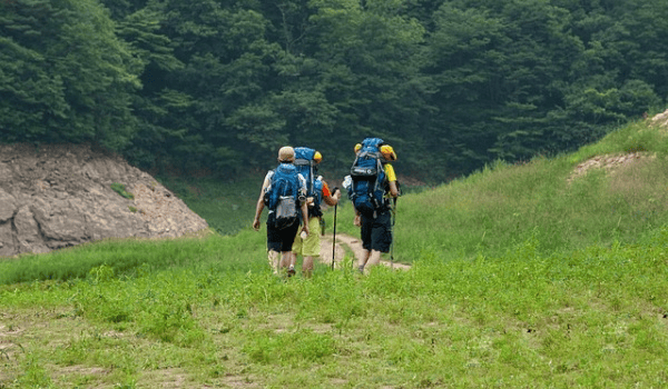 “远、近、深、浅”，冬季野钓鲫鱼选位，先