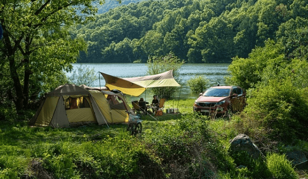 春季野钓酒米运用技巧，效果提升一倍