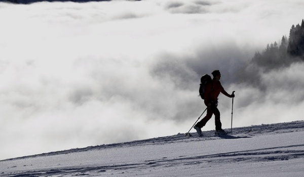 野钓调漂秘籍大公开：灵钝随心，轻松擒获大