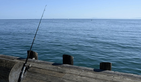 一群钓具“门外汉”正在拼多多改变“钓鱼佬”群像