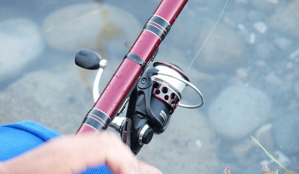 燕窝品质大揭秘：如何慧眼识真伪，挑选优质